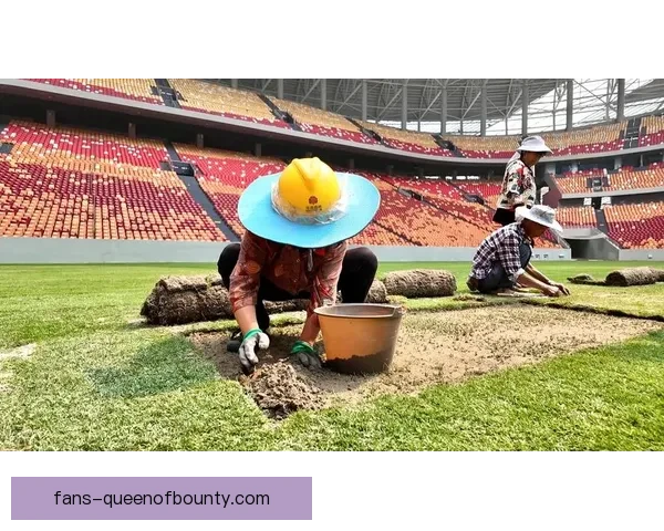 世界杯推出创新草坪自热排水系统提升比赛场地表现
